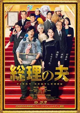 河北凌波赛鸽公棚春棚